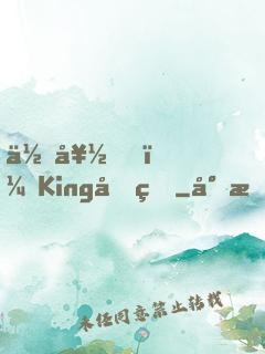 你好，King先生